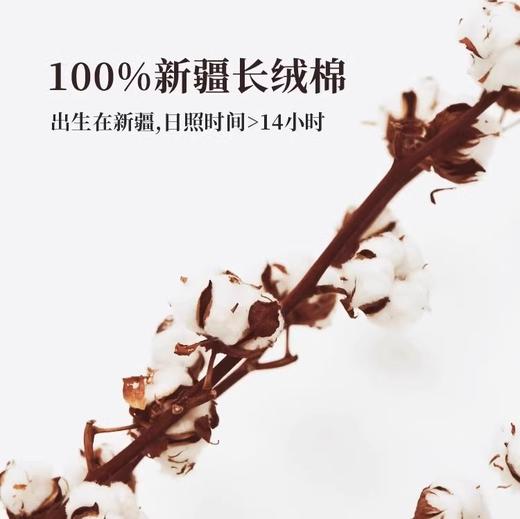 内野 新素色典雅浴巾pro礼盒版 商品图1