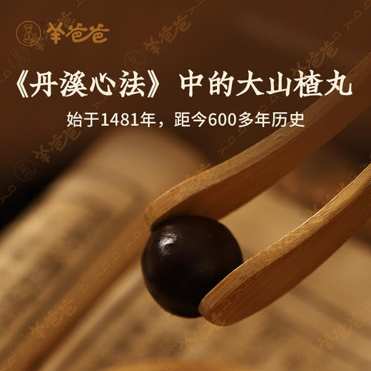 【山楂丸】健康零食|酸甜可口,拯救小饭渣 效期至26年4月 商品图1