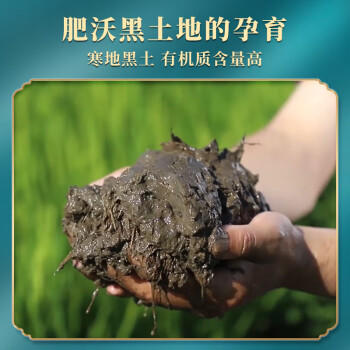 长寿山新米 东北富硒有机大米稻香米 延寿标识当季粳米 团购送礼10斤 /粮油调味 /米 /稻花香米 商品图3