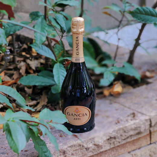 【露营微醺套餐】黑塔雷司令白葡萄酒x甘恰阿斯蒂起泡白葡萄酒   750ml*2  赠手提袋 商品图1