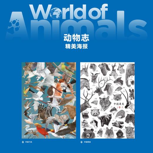 读库《动物志》套装 动物科普 青少年读物-分销 商品图4