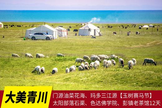 7月19日出发，大美青川：门源油菜花海、玛多三江源【玉树赛马节】太阳部落石渠、色达佛学院、彭镇老茶馆12天风光民俗摄影 商品图0