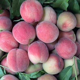 新鲜水果   香甜可口 柳陂春雪蜜桃 3斤装