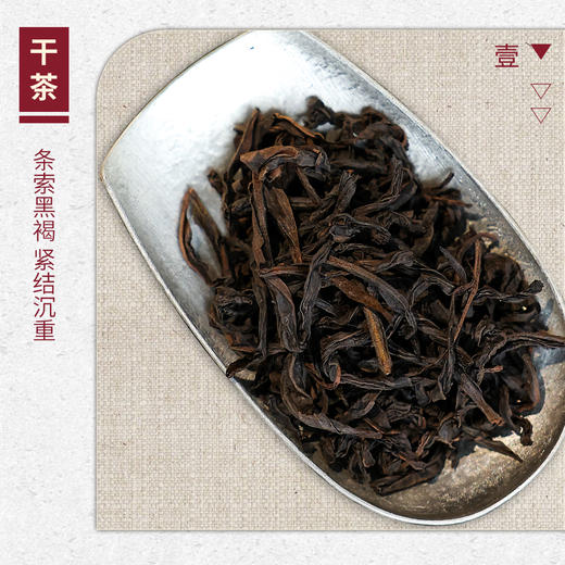 【山纯限品】2025年012遇林亭高枞水仙17g 商品图2