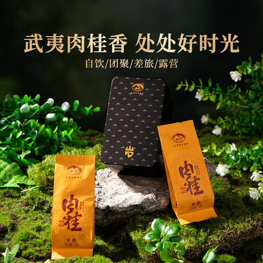 岩语 厚韵肉桂 茶叶特级武夷岩茶中火乌龙茶正宗盒装自饮口粮茶48g 商品图4