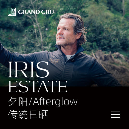 2026新产季｜伊利斯 | 夕阳/Afterglow批次 | 传统日晒瑰夏 商品图0