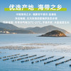 【海带苗】150g/包（单拍不发） 商品缩略图2