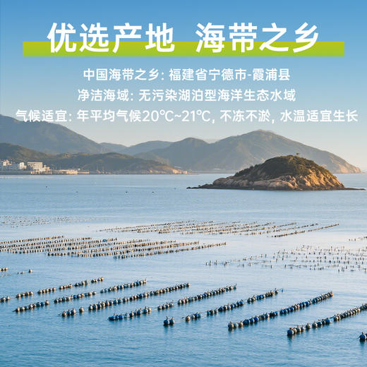 【海带苗】150g/包（单拍不发） 商品图2