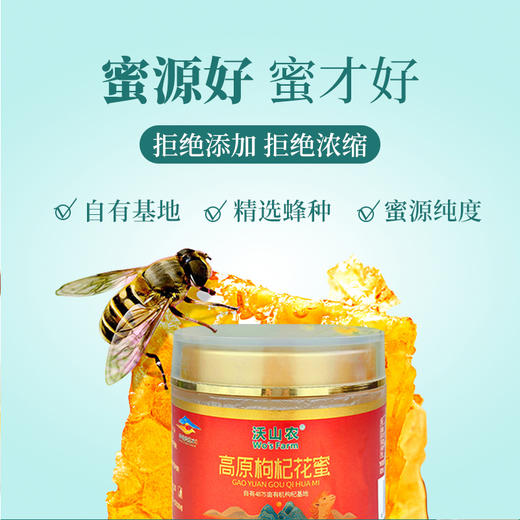 有机枸杞花蜂蜜礼盒 高档蜂蜜礼盒520g 【260g/瓶*2瓶】包邮 商品图5