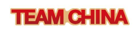 中国国家队TEAM CHINA横版镂空徽章 红金 商品图1