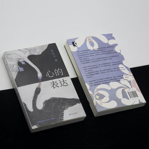 心的表达（多角度深入理解精神分析与个人生活；看到创伤，跨过创伤，回溯经历，理解自我）李沁云 著 商品图3