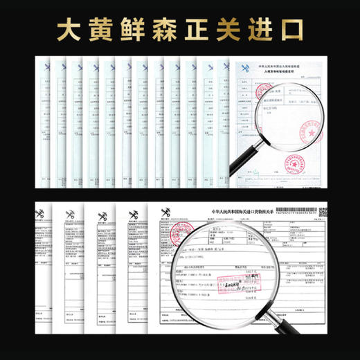 大黄鲜森 巴西牛腱子 1000g 商品图4