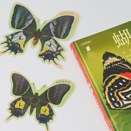 《蝴蝶：一本世界各地蝴蝶生活图鉴》普林斯顿大学生物图鉴系列 鳞翅目 自然百科科普-分销 商品图2