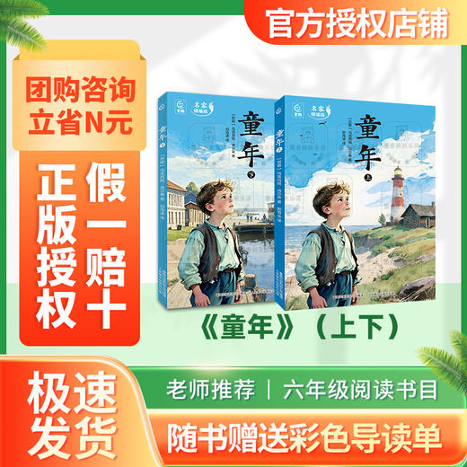 班班25暑期五升六《童年》上下+导读单 商品图0