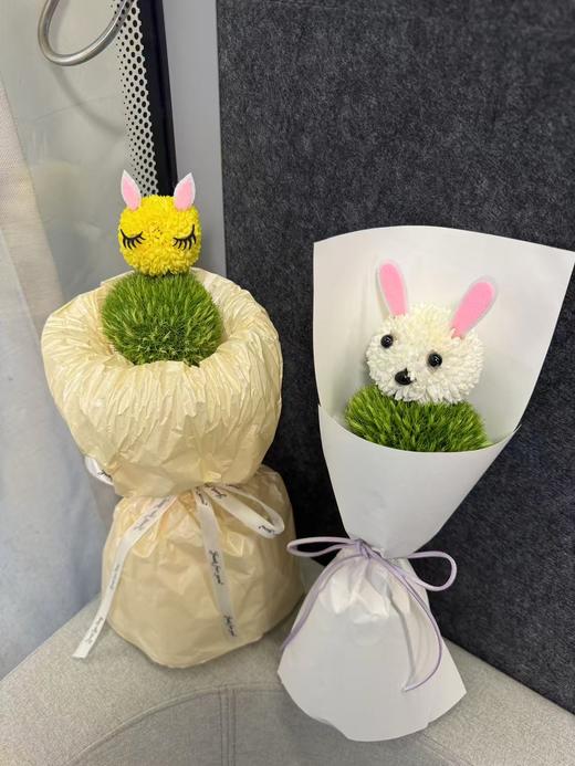 可爱绿毛球💚 商品图0