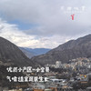 【预售7月5号/6号发货】生态高原白萝卜（农场直发-顺丰包邮）|5斤/份，来自四川小金，生产者：吴明清【合作生产，公平贸易】 商品缩略图7