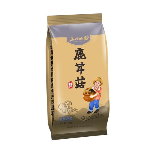【2袋全国包邮，部分地区除外】房县特产 房州味道  鹿茸菇108g/袋 商品图0