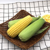 新鲜水果玉米当季金银水果甜玉米棒子现摘糯苞谷蔬菜包邮 商品缩略图3