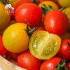生态圣女果（福建）| 合作生产*  Ecological tomato | Partner Production 商品缩略图1