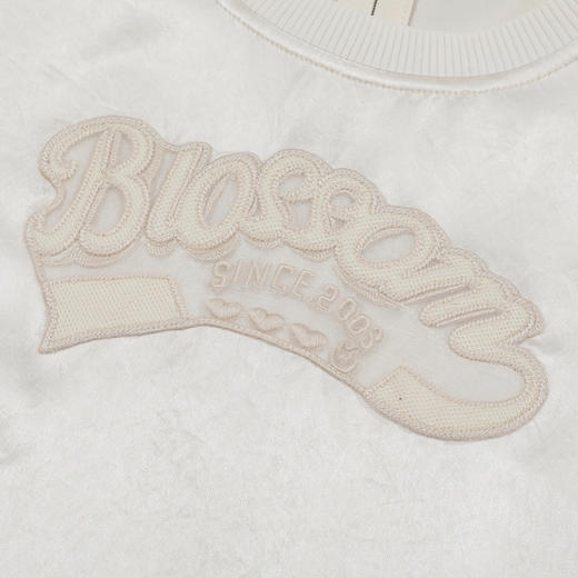 谜底衬衫衬衫女2025夏季新品通勤光泽醋酸箱型刺绣上衣252MS0688 商品图3