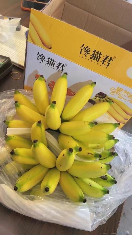 周三取货：【馋猫君皇帝蕉】一箱毛重5斤左右，论颜值和口感并存的一款香蕉！ 商品图6