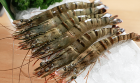 食材挑选大全之——虾