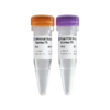 VAHTS Target Capture Universal Blockers and Post-PCR Primer Mix for Illumina-TS 商品缩略图0