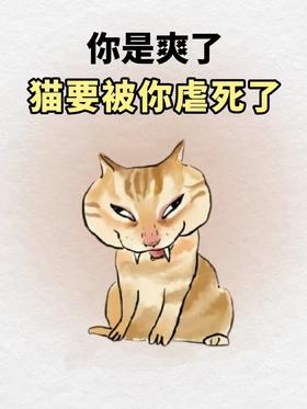 你是舒服了，但是猫要被你虐死啦