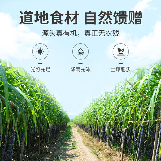 【清心湖甄选】 方家铺子有机红糖粉450g/瓶装 百年老店 中华老字号 好红糖 真的暖 口感醇厚浓郁 入口甘甜不腻 有机品质+权威检测报告  不加抗结剂 易结块介意勿拍 商品图8