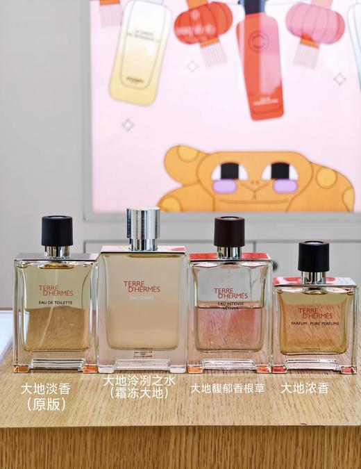 Hermes爱马仕 大地男士淡香水50ml/100ml经典浓香100ml 商品图4