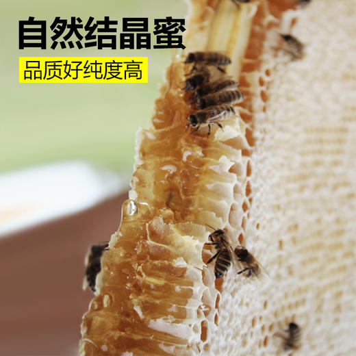 有机枸杞花蜂蜜礼盒 高档蜂蜜礼盒520g 【260g/瓶*2瓶】包邮 商品图4