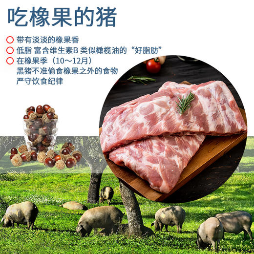 大黄鲜森 伊比利亚黑猪肋排 500g*3 商品图3