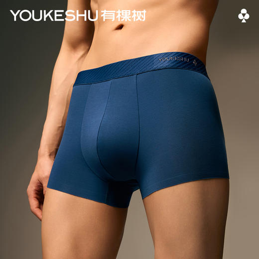 【新品上新】【100支莫代尔】有棵树7A抗菌男士四角裤3条装-U1147 商品图1