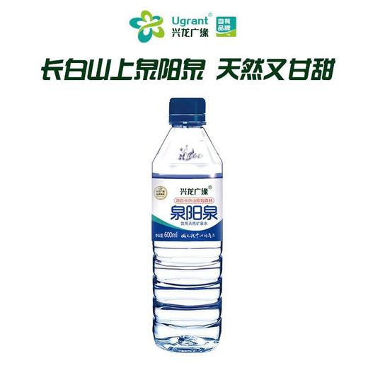 C兴龙广缘泉阳泉600ml*12天然矿泉水（箱） 商品图0
