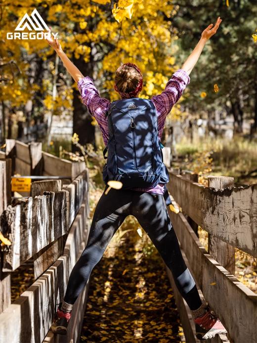 GREGORY格里高利JADE LT探秘24轻量化徒步登山包透气舒适双肩包女款 商品图2