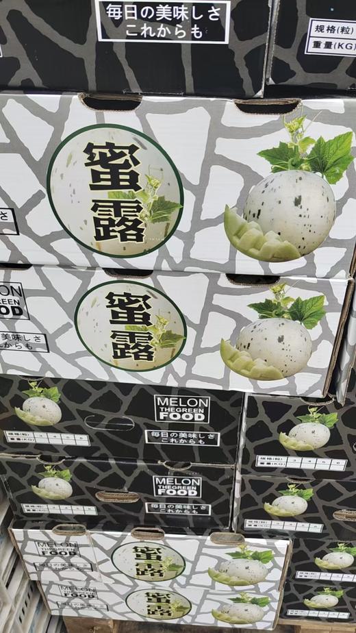 蜜瓜礼盒装15斤/箱 商品图0