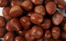 食材挑选大全之——板栗