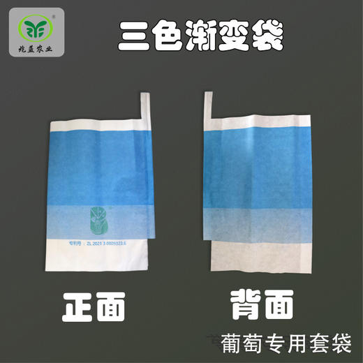 葡萄专用套袋 防虫、防病、防污染、带气孔 商品图2