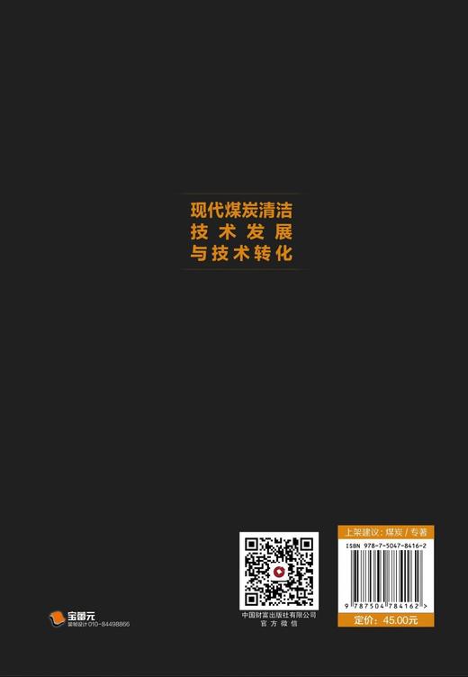 现代煤炭清洁技术发展与技术转化 商品图3