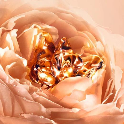 LANCOME/兰蔻菁纯面霜60ml（轻盈版/滋润版） 商品图4