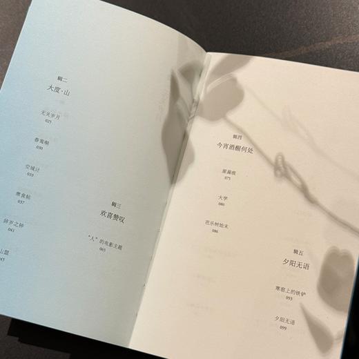 无关岁月：蒋勋经典散文集，疗愈与开悟的力量。年近八旬的生命回顾之书。生命来来去去，允许万物穿过。 商品图4