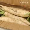 【预售7月5号/6号发货】生态高原白萝卜（农场直发-顺丰包邮）|5斤/份，来自四川小金，生产者：吴明清【合作生产，公平贸易】 商品缩略图4