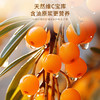 福东海 有机沙棘原浆500ml 100%原果浆鲜果生榨沙棘汁 高VC原液饮料 商品缩略图2