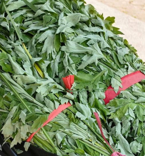 拾间公益项目端午扶贫-蕲春艾草 端午艾草 商品图2