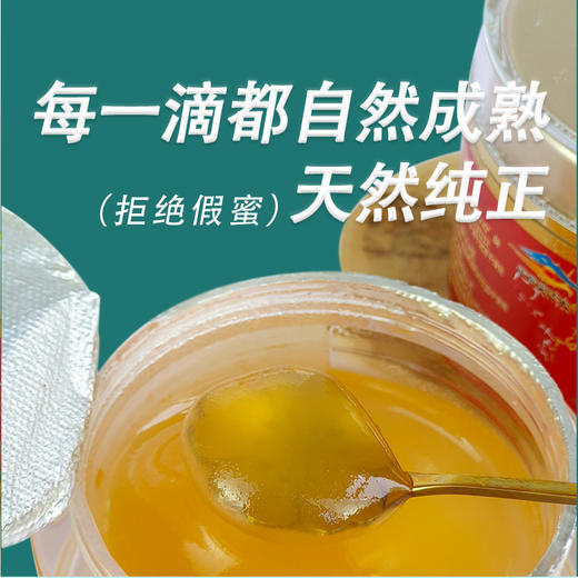 有机枸杞花蜂蜜礼盒 高档蜂蜜礼盒520g 【260g/瓶*2瓶】包邮 商品图7