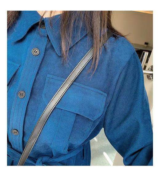 超值购【诗铭洛可】XCX235 连衣裙翻领衬衫春秋裙B9-3 商品图3