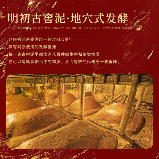【超五粮液1618工艺】五粮液·酿神 龙凤呈祥（金坛）明初古窖泥·地穴式发酵 浓香型白酒 52%vol 商品图7