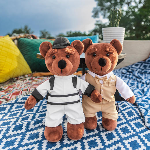 《大雷与小雷的车库奇妙夜》同款小熊 商品图1