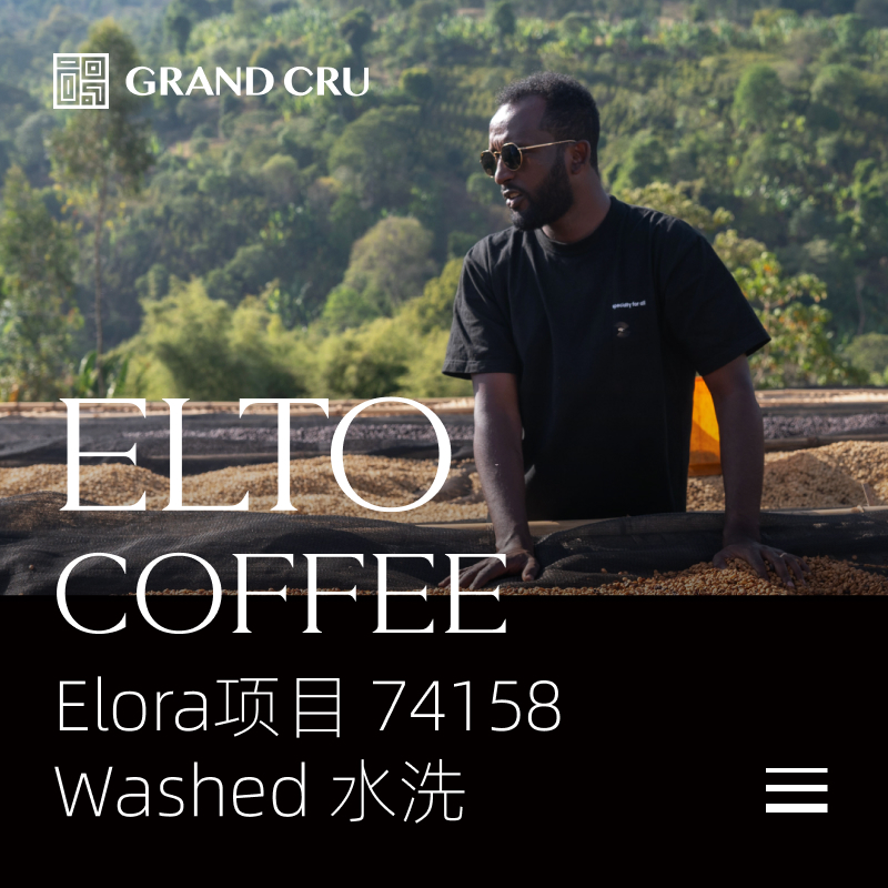2025新产季空运批次｜埃塞Elto咖啡 Elora项目｜Elora Washed水洗