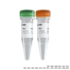 TruePrep Index Kit V3 for Illumina 商品缩略图0